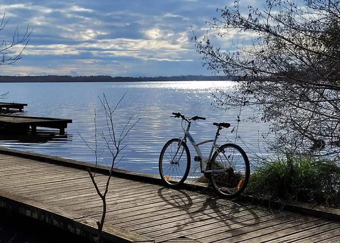 Familial Entre Et Foret * Azur